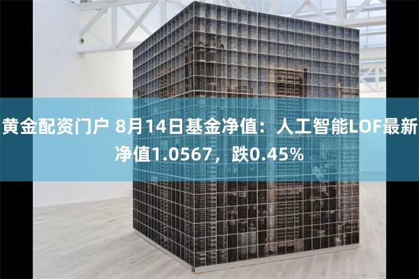 黄金配资门户 8月14日基金净值：人工智能LOF最新净值1.0567，跌0.45%