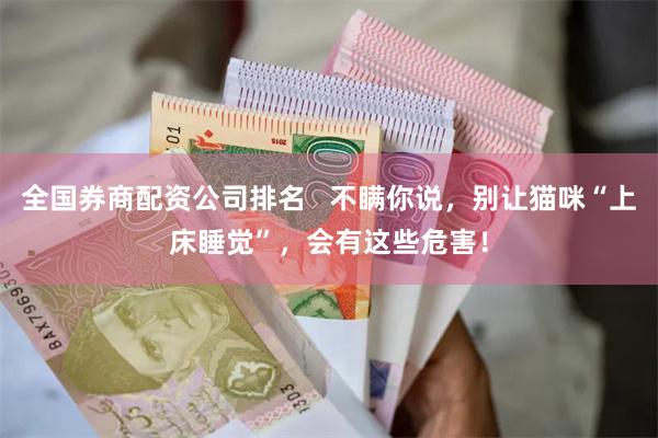 全国券商配资公司排名   不瞒你说，别让猫咪“上床睡觉”，会有这些危害！