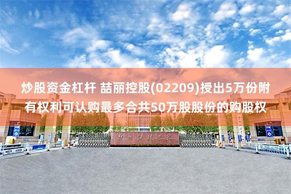 炒股资金杠杆 喆丽控股(02209)授出5万份附有权利可认购最多合共50万股股份的购股权