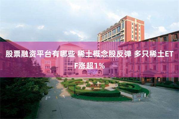 股票融资平台有哪些 稀土概念股反弹 多只稀土ETF涨超1%