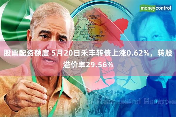 股票配资额度 5月20日禾丰转债上涨0.62%，转股溢价率29.56%